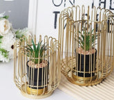 Cactus plant Decor set of 2